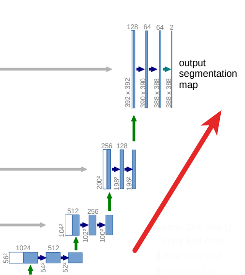 The upwards path in the U-Net architecture.