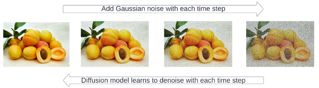 The illustrated diffusion process.