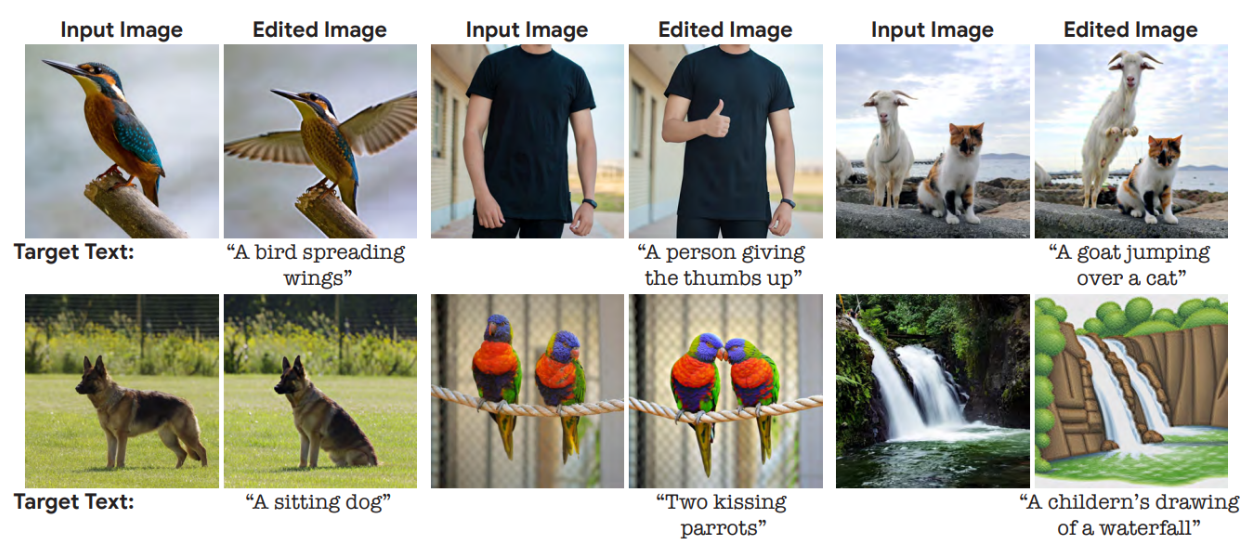 Imagic examples taken from https://arxiv.org/abs/2210.09276