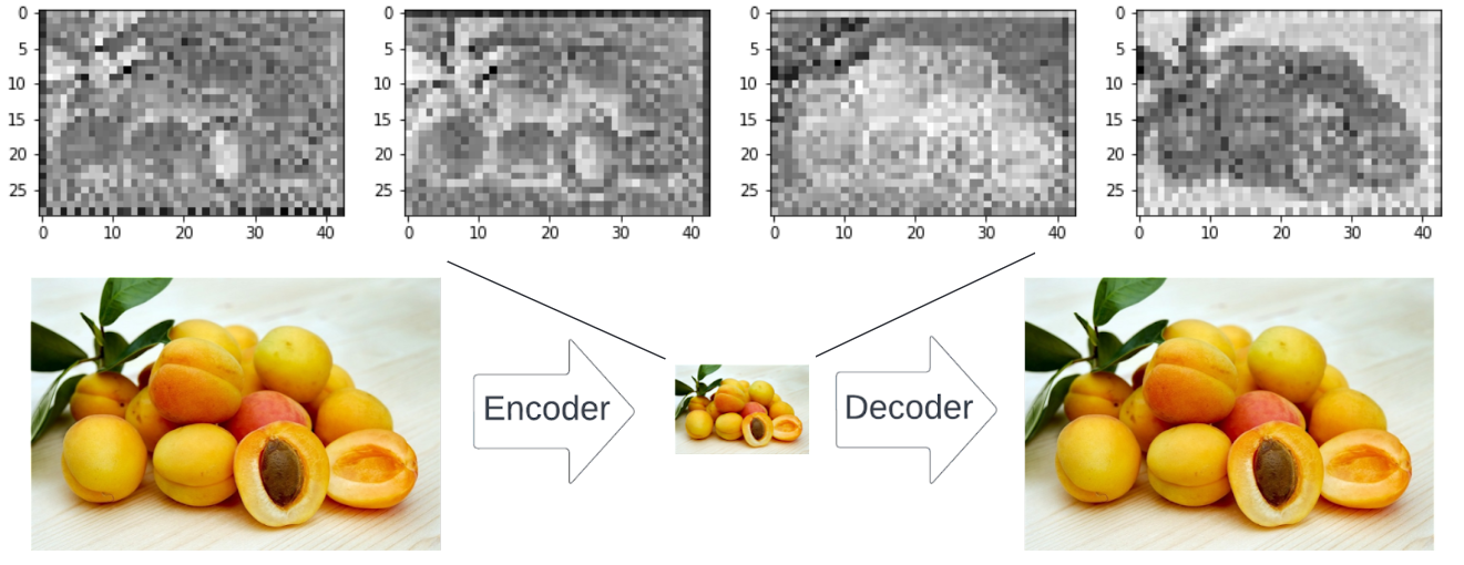 The VAE encodes images very efficiently. The small image of peaches is to understand the idea. In fact, it represents four channels in the latent space which are the black-and-white plots above.